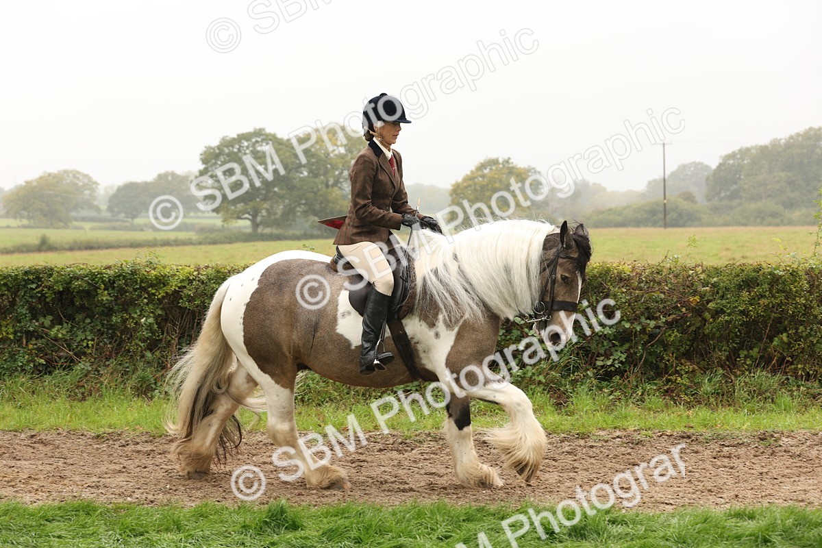 SBM_72715 - S70 - Traditional Cob Ridden