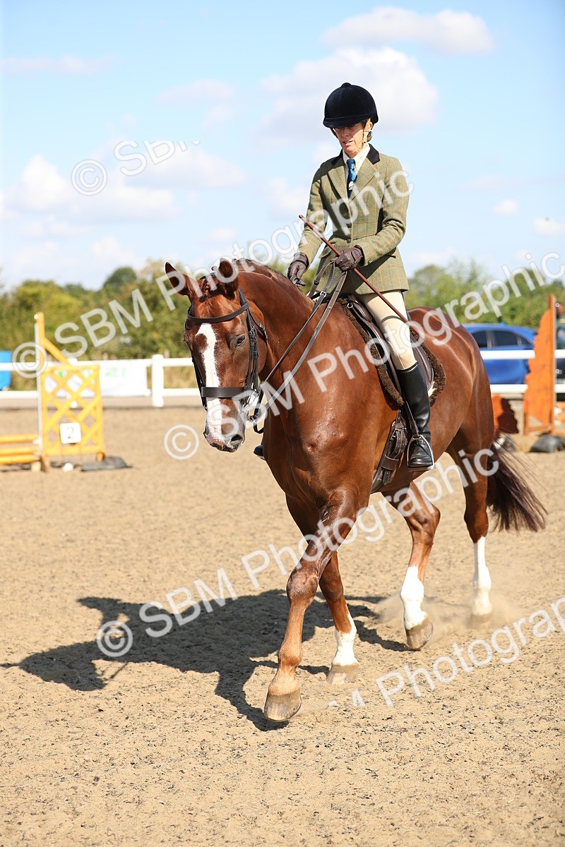 SBM_02340 - Class 43 Ridden Competition Horse/Pony