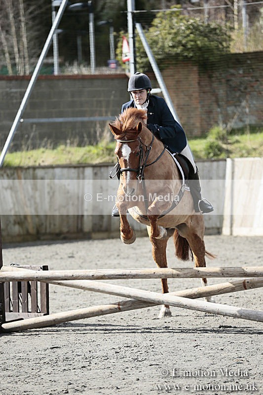 BVRC SJ 170319 111 - Bourne Valley Riding Club Showjumping 17/03/19