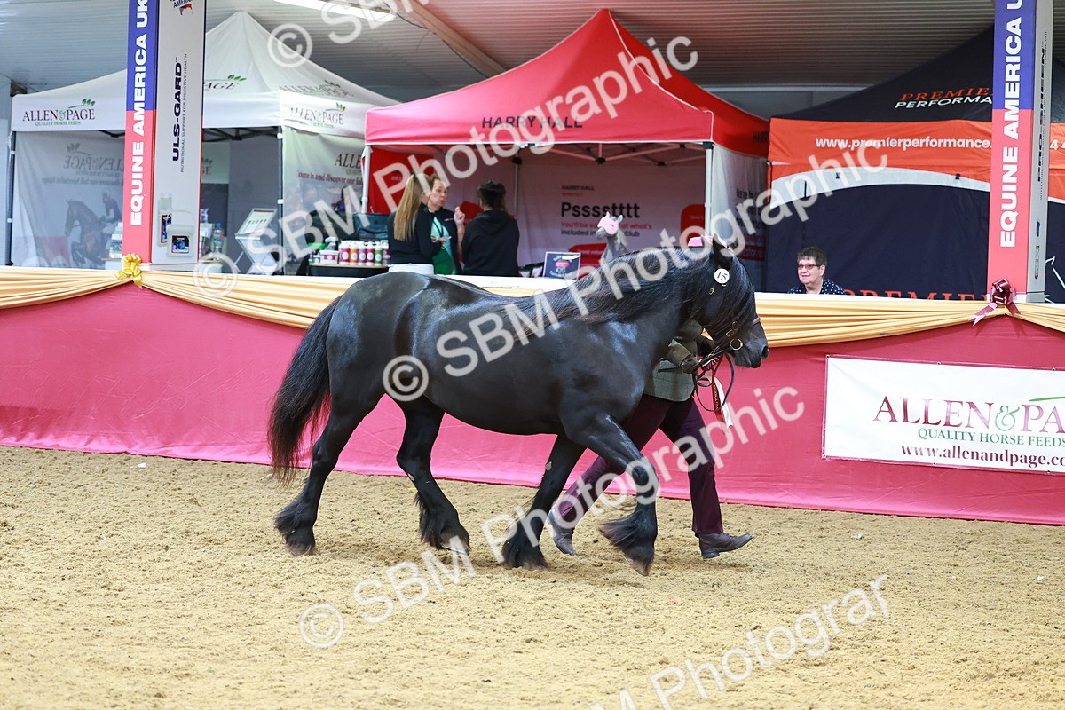 SBM_04370 - Class 9R - IH Pre-Vet