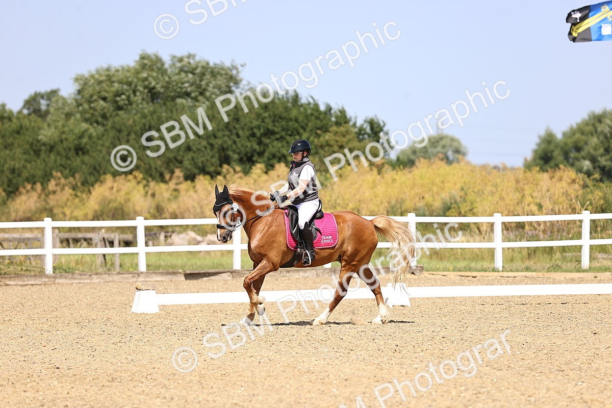 SBM_010406 - Novice 5 - 11.20-12.23