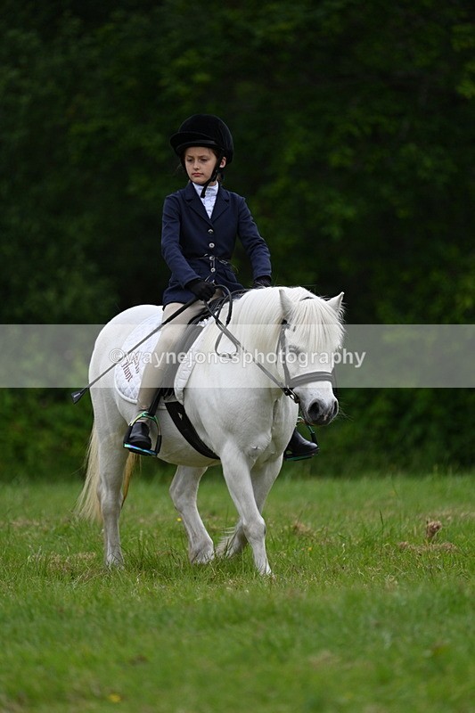 WJ7_4400 - Class 14B Prettiest Mare