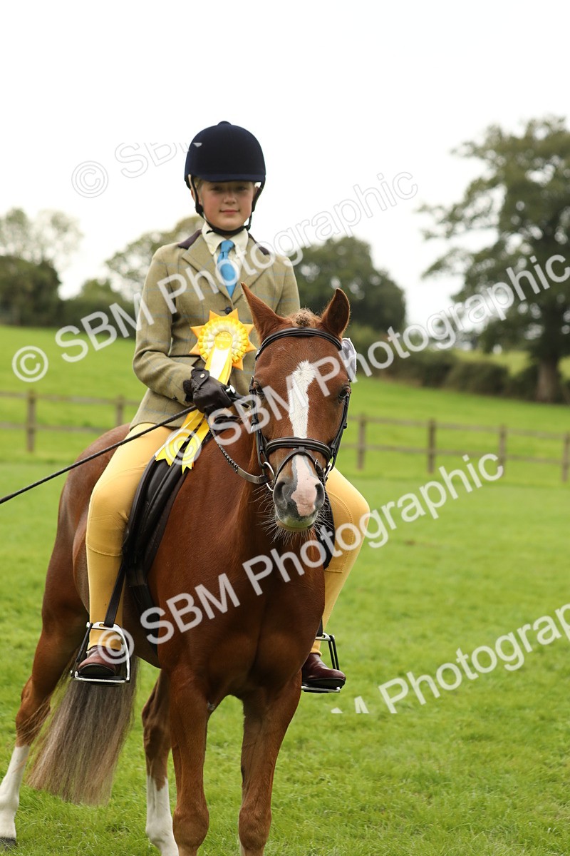 SBM_71417 - S41 - Ridden Equitation (Best Rider)