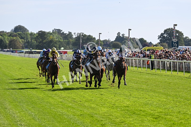 060926-Race 5-Extremely Zain-8371 - Race 5 3.50pm Starman At Tally Ho Stud Garrowby Stakes