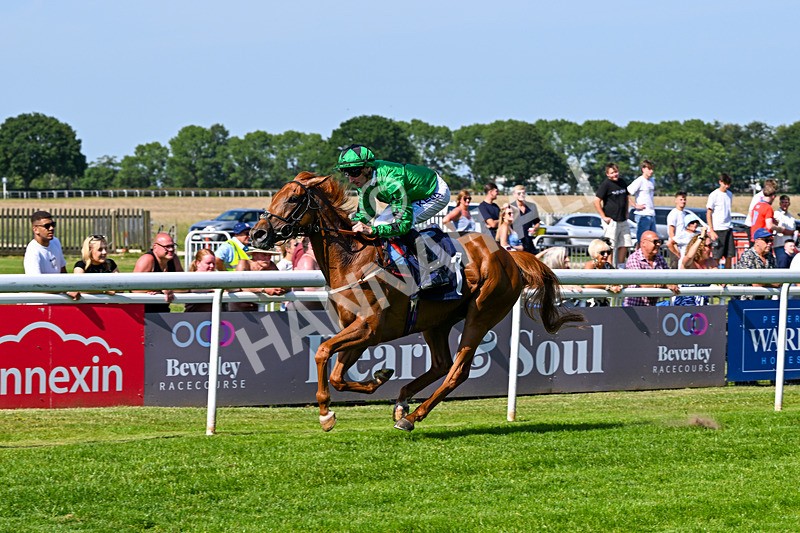 230626-Race 5-Percys Daydream-1494 - Race 5 16.17pm Humberside Airport Handicap