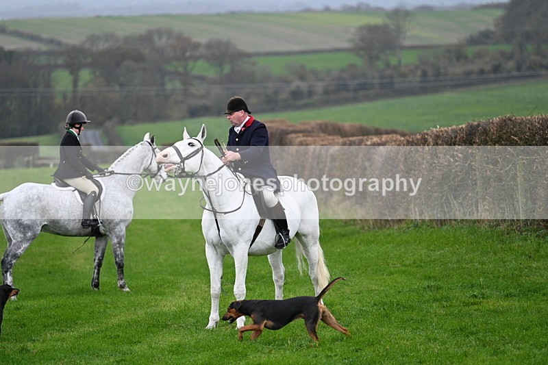 WJ7_8820 - Meet Staff & Hounds