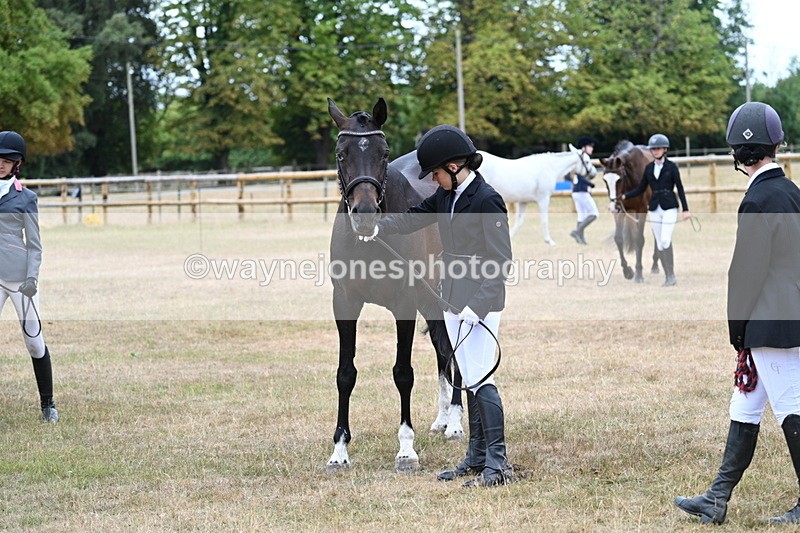 WJ7_9189 - Class 4a Prettiest Mare 14.2hh and over