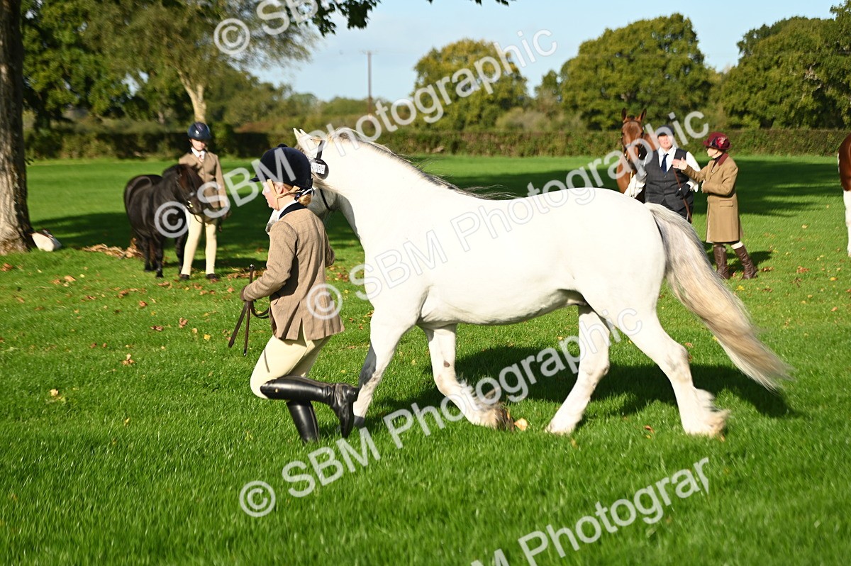 SBM_14774 - S1 - TSR in Hand Horse & Pony Showing