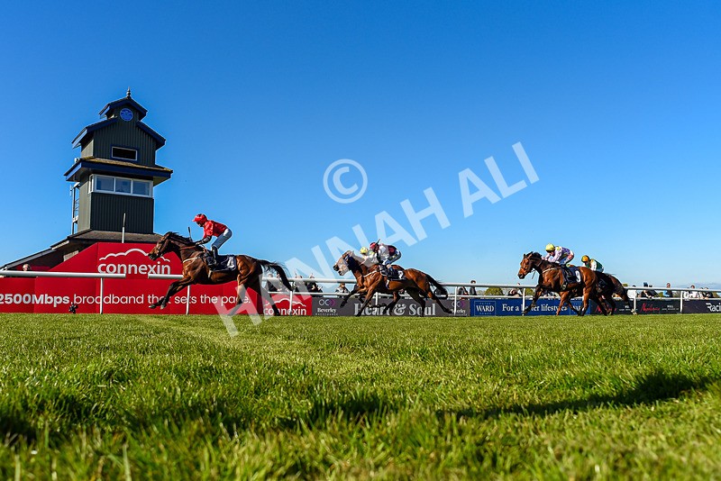 230426-Race 7-Sunny Orange-1320 - Race 7