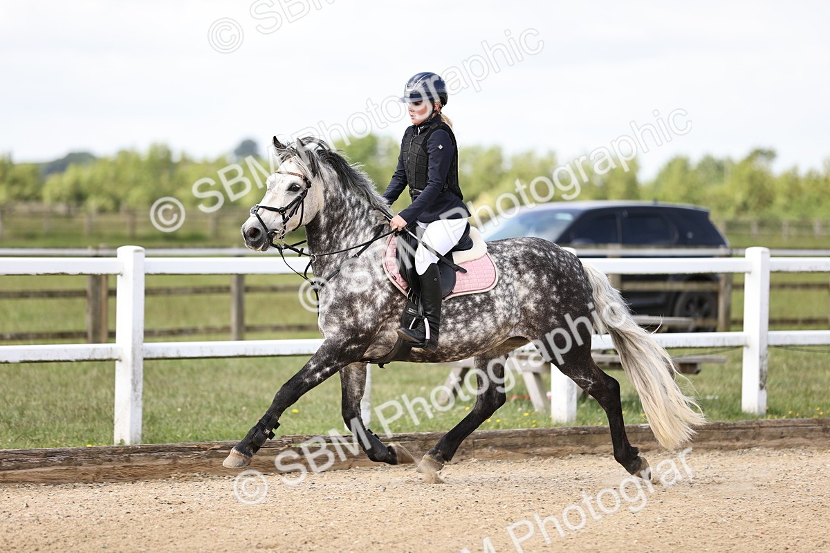 SBM_007254 - Class 2 - 80cm showjumping