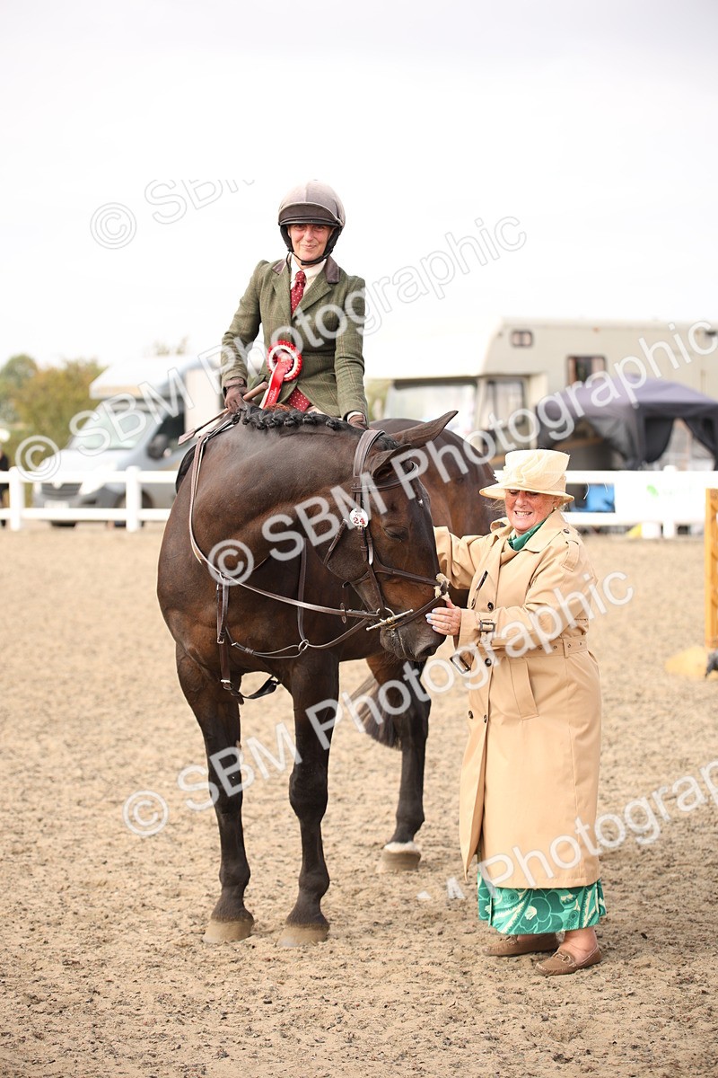 SBM_17161 - Class 409b - Working Veteran 80cm (20+)