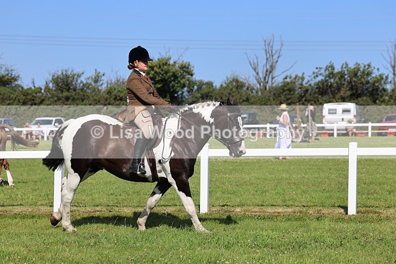 IMG_1643 - Skewbald and Piebald Ridden Championship