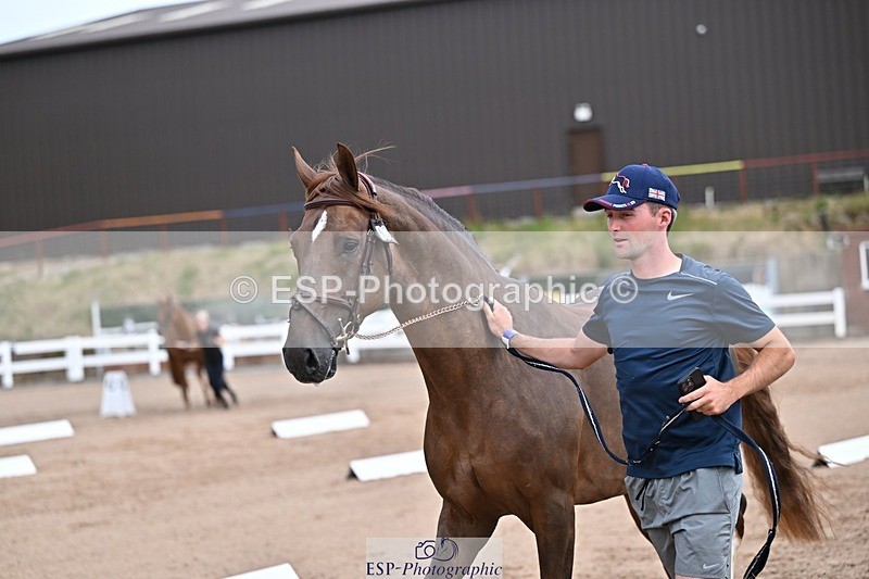 250716-131415-00404 - Trot Up 12.30 to 1.30