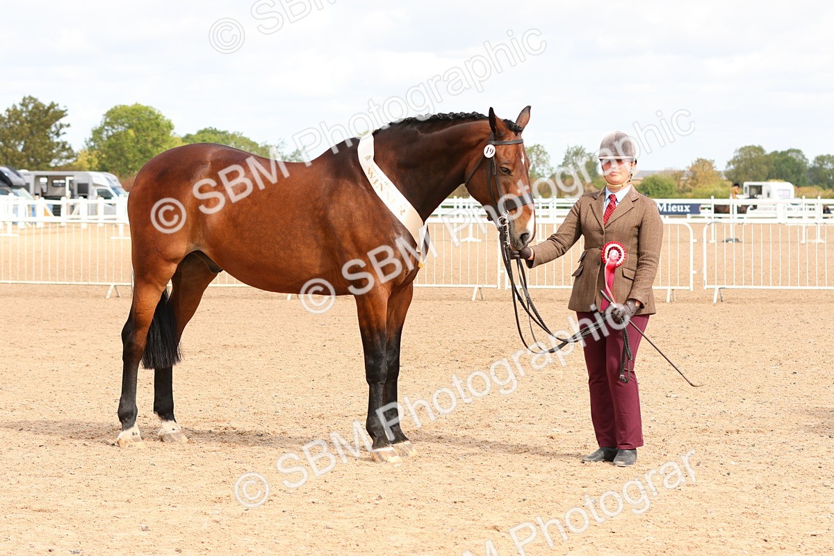 SBM_11769