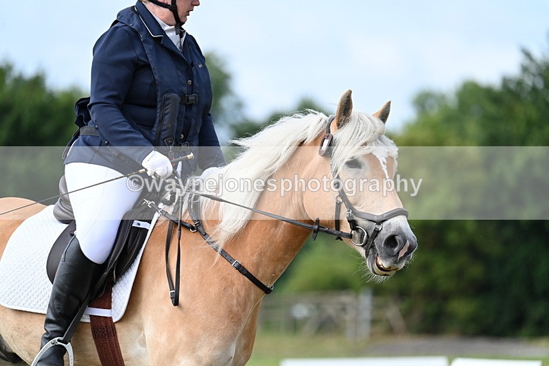 WJ7_1601 - Time 09:00 to 09:22