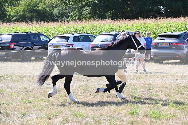 WJ6_4883 - Class 17 Mountain & Moorland