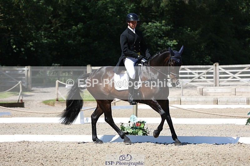 230526-103430-05286 - 362-SPIRIT'S_GEMINI-Harry_Dzenis-WEDTrotUp+DR