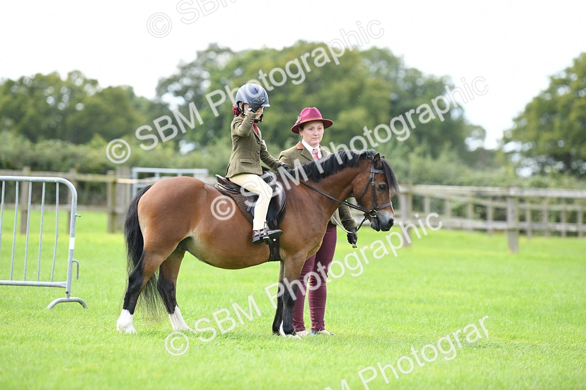 SBM_42432 - S20 - Lead Rein Mountain & Moorland Pony