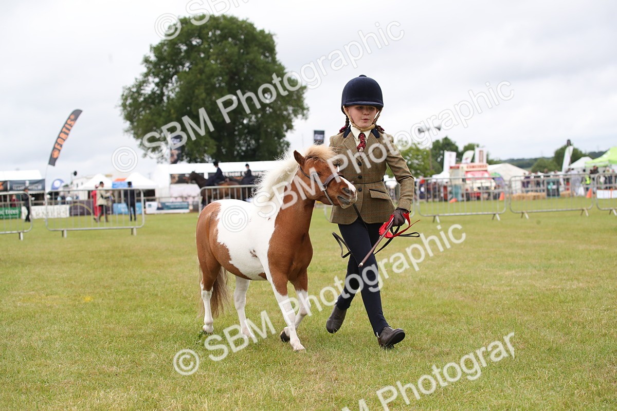 SBM_04025 - Class 23-25 - British Miniature Horse of the Year