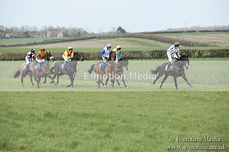 PtP 230319 245 - VWH Hunt Siddington Point-to-Point Racing 23/03/19