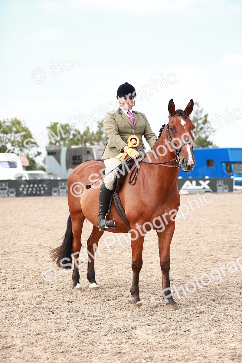 SBM_15552 - Class 213 Ridden Hunter -Large