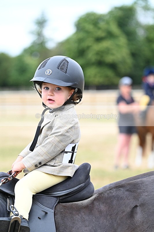 WJ7_9853 - Class 1 Lead Rein Pony