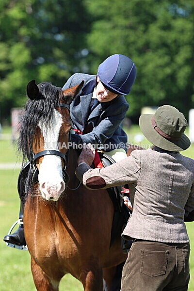 IMG_4190 - Working Hunter