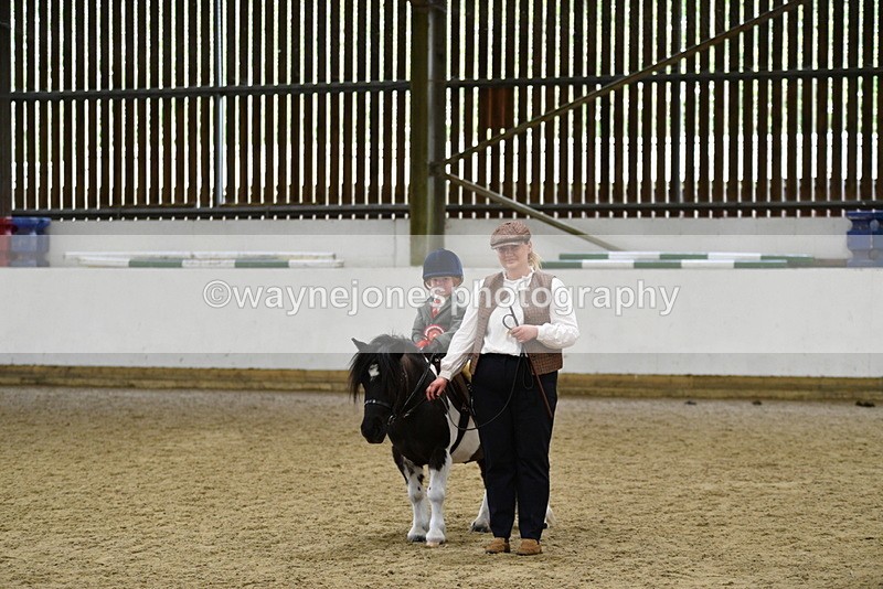 WJ5_7141 - Class 10 Childs Pony