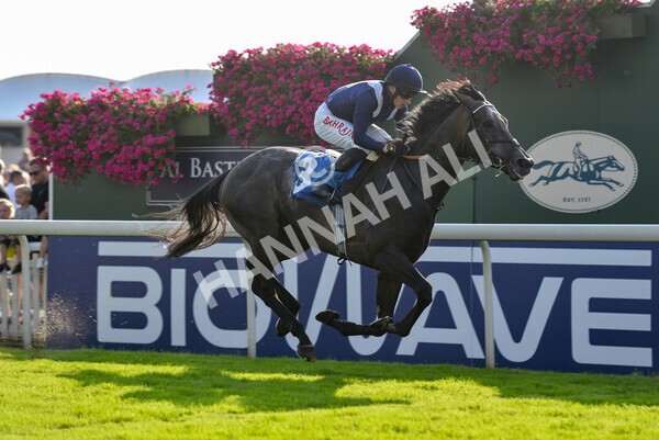 yr05092021r6-15 - Race 6 4.50pm Hanson Spring Stakes