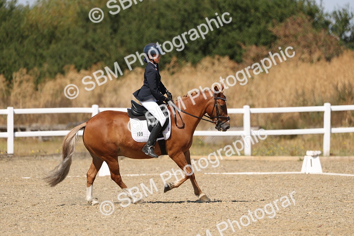 SBM_013738 - Class 1 - P5 Bronze 10.38.12.02