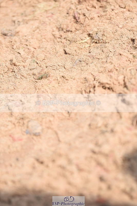 230902A-123138-01044 - Cls 9 1.10m Amateur Quali