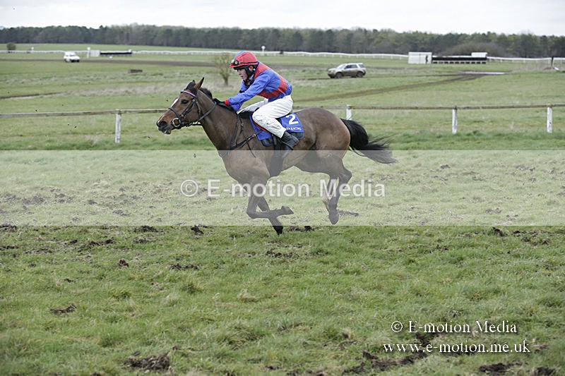 PtP 150320 0940 - New Forest Point-to-Point Larkhill 15/03/20