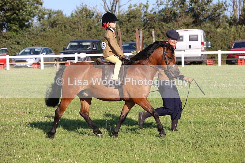 JPP_0738 - Class 16: Cornish Combination Leading Rein