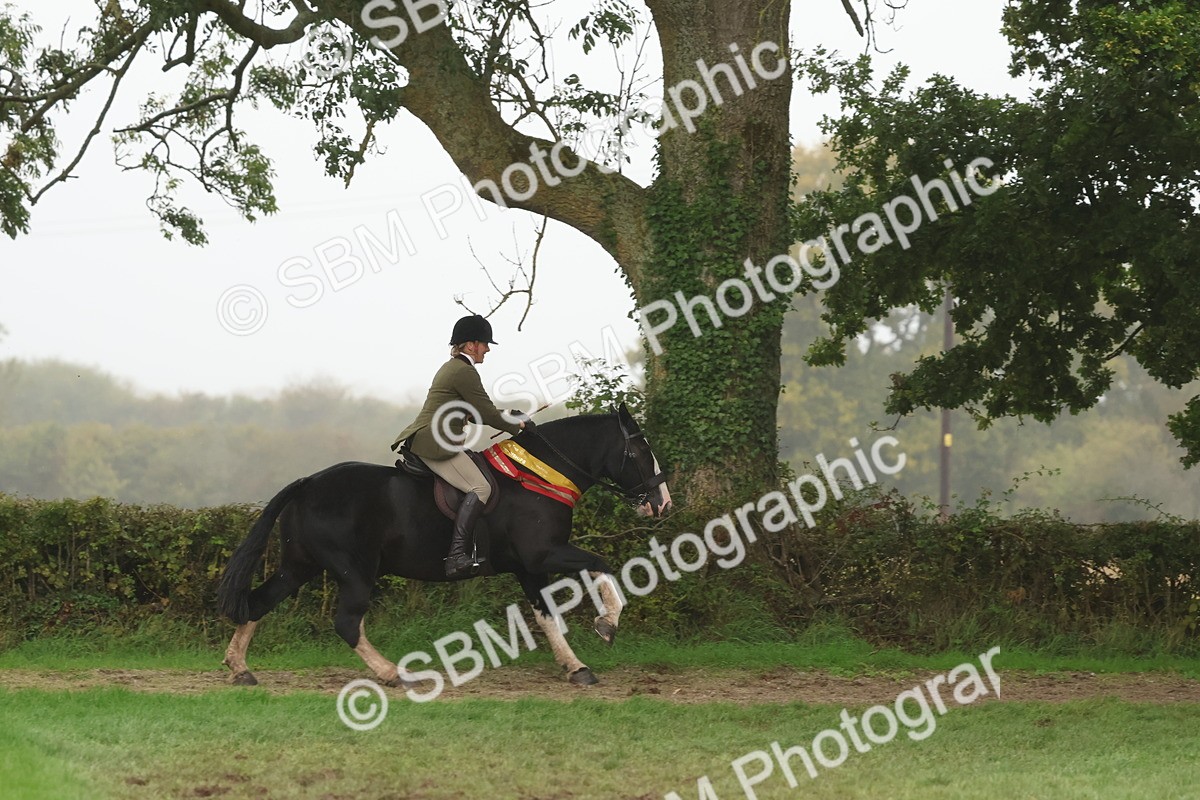 SBM_73222 - Super Supreme Championship(Sun)