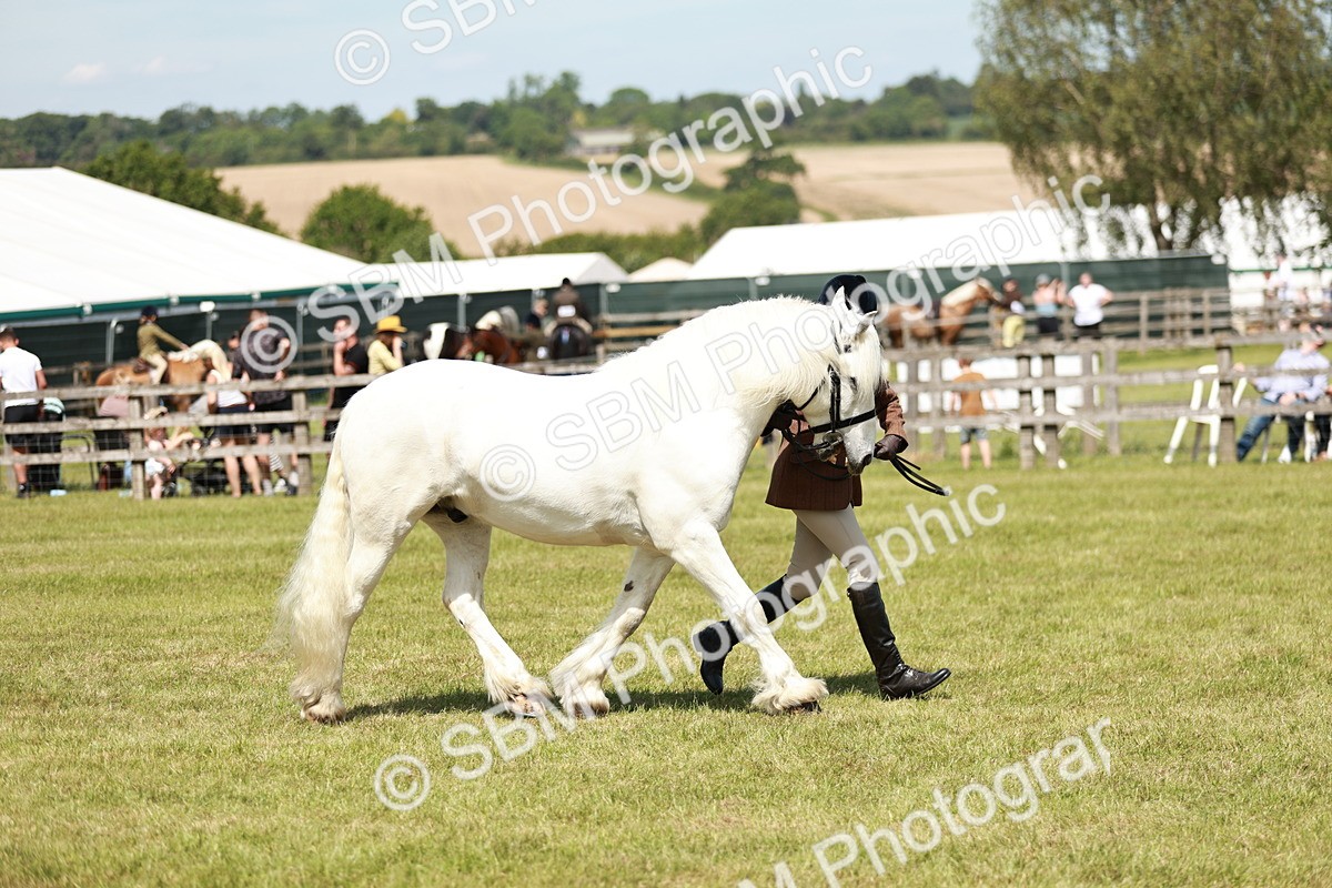 SBM_07148 - Class 26-30 - Mountain and Moorland Ridden