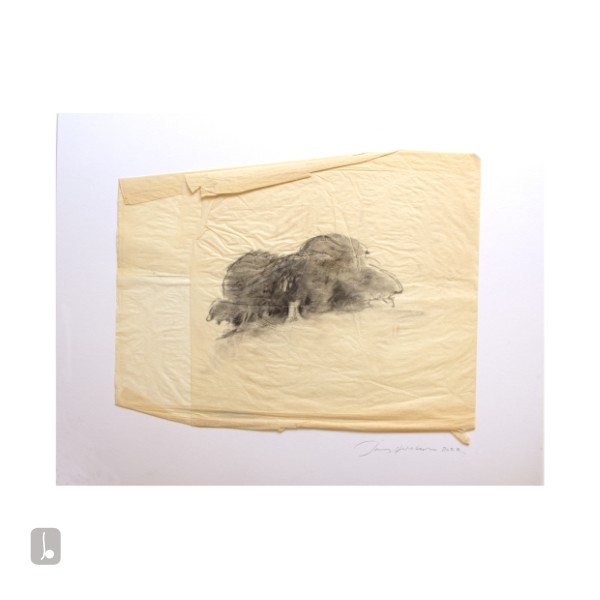 Dark Copse on Old Rag - Glimmer