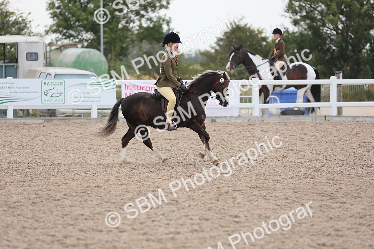 SBM_18046 - Class 316 Best Pony/Rider Combination
