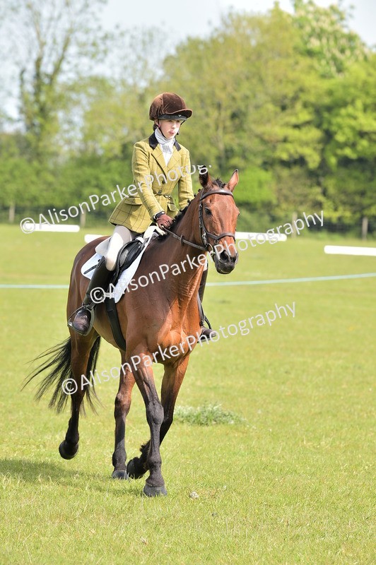 20260426-1152 - Class 19 - Retraining Of Racehorses