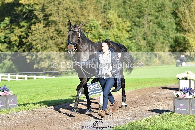 231022-103110-22539 - 477-NPS.KLASSEY-Elizabeth.Jones-TrotUp+SJ