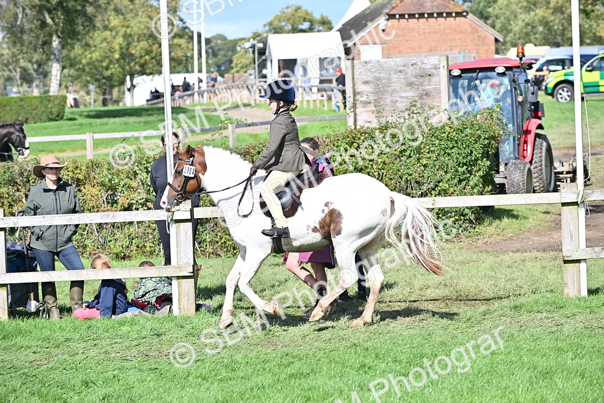 SBM_44568 - S13 - Pony Club Pony