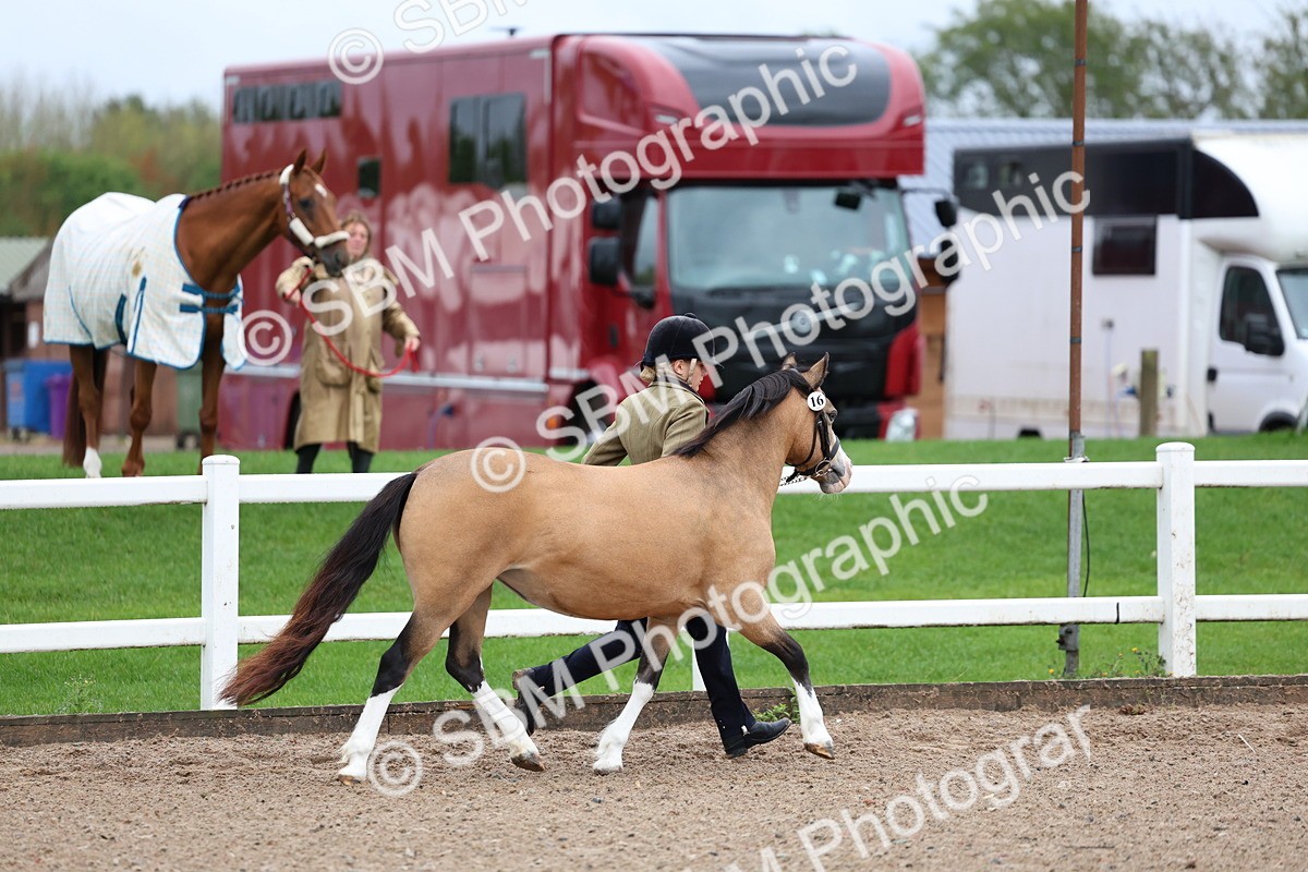 SBM_00224 - Class 13 - Young Handler