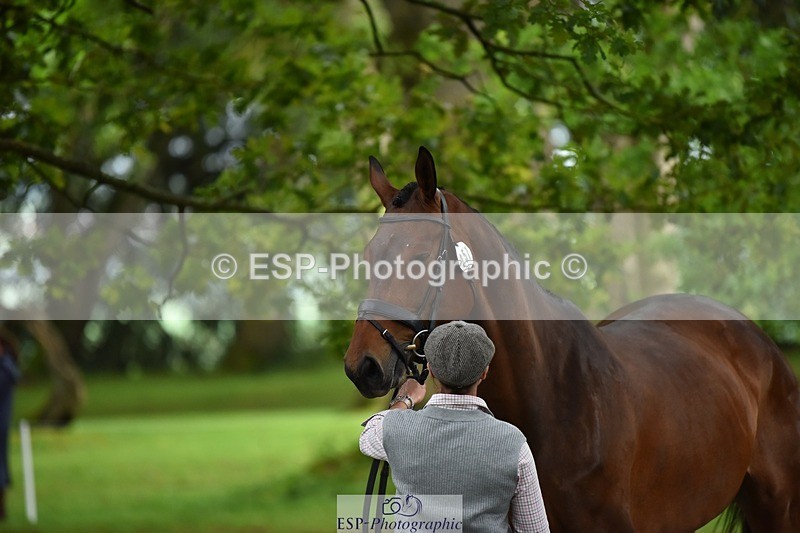 240522-171608-01494 - 257-COUGAR_MAIL-Jeanette_Brakewell