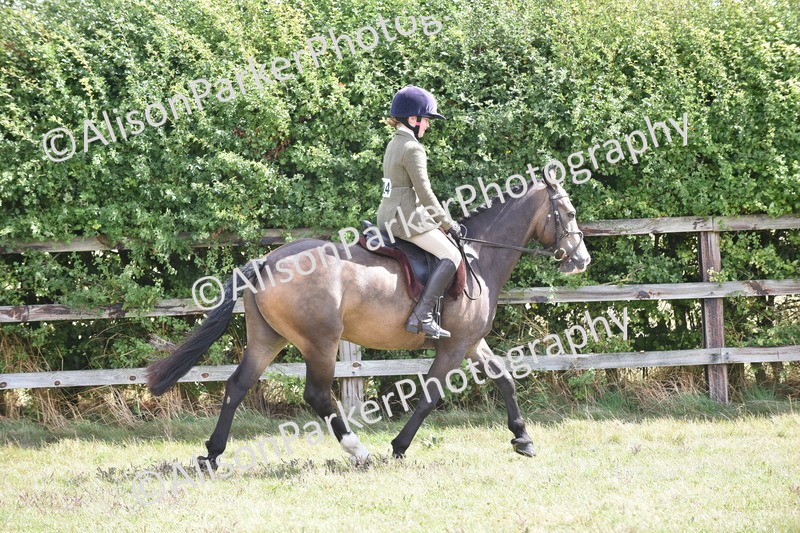 20250831-3974 - Class 12 - Working Hunter Pony 14.2hh and Under