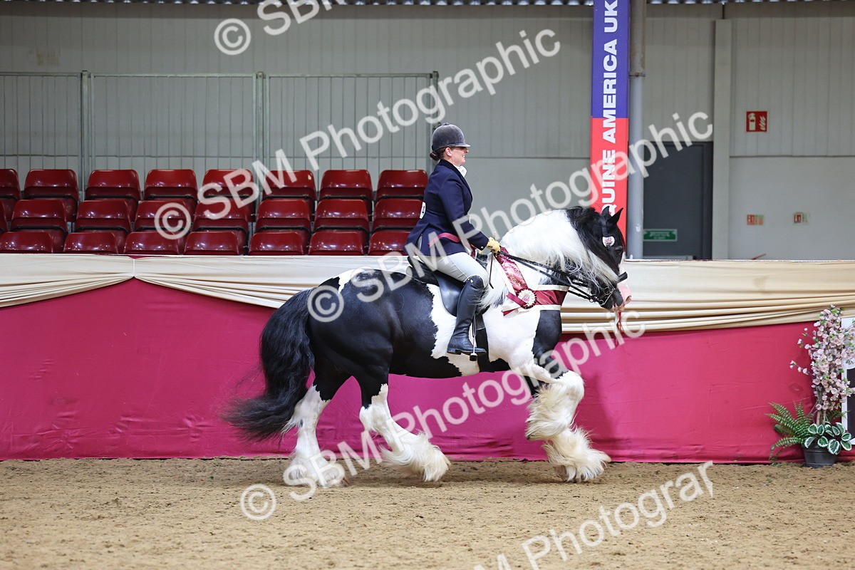 SBM_24215 - Class 905 - Supreme Final - Ridden Veteran