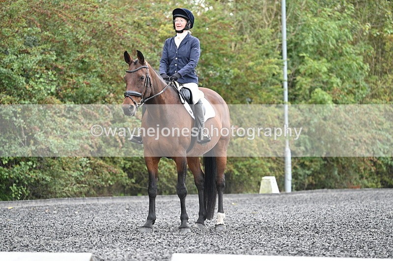 WJ7_4132 - Time 11:43 to 12:09