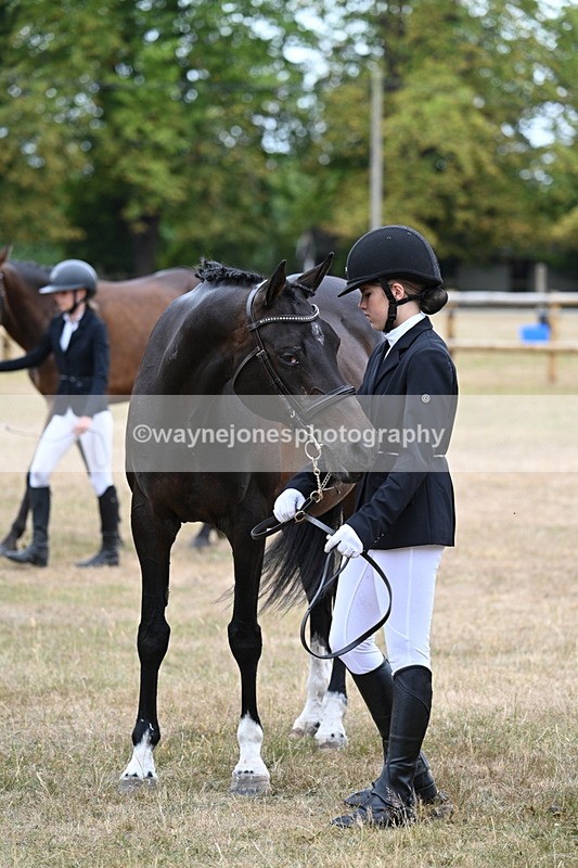 WJ7_9192 - Class 4a Prettiest Mare 14.2hh and over