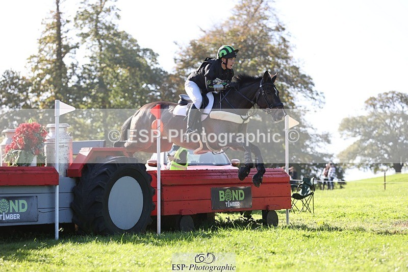 241026-121338-13334 - 406-Harvey.Crocker-THE.NIGHT.TRAVELLER