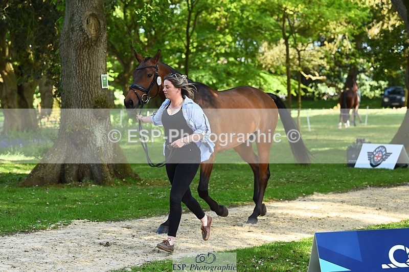230524-164748-01091 - 115-RNH_ULTIMATE-Harriet_Wright-WEDTrotUp+DR