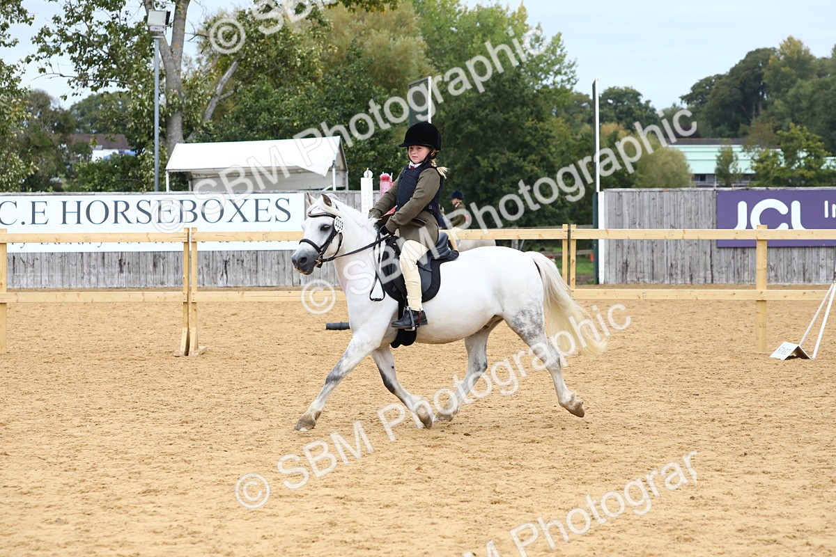 SBM_68132 - J3b - Mini Tour Junior Pony 40cm Championship