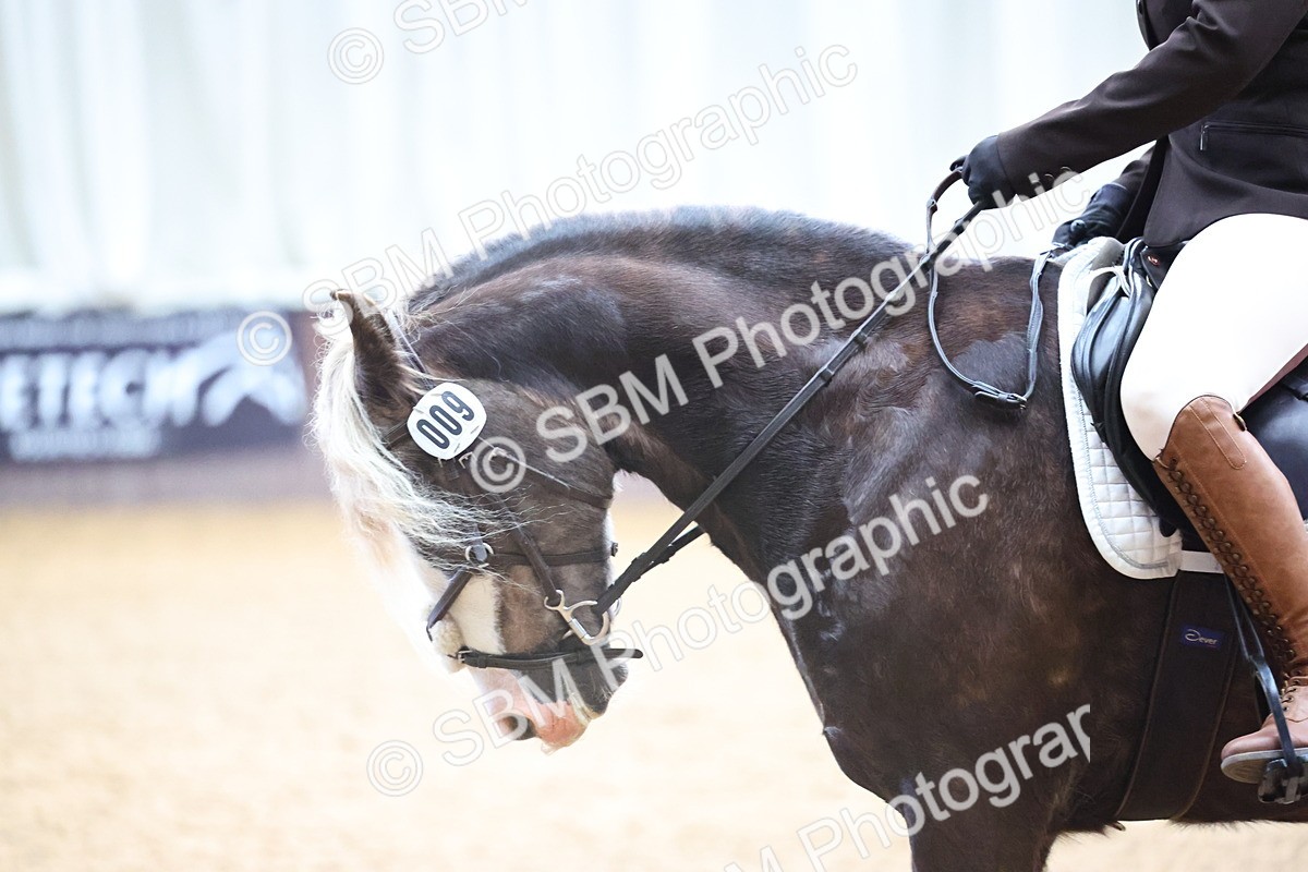 SBM_004176 - Class 1 - Intro 2-3